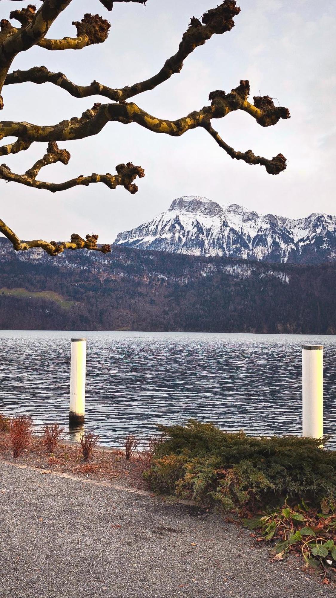 Seehotel Schwert Gersau Luaran gambar